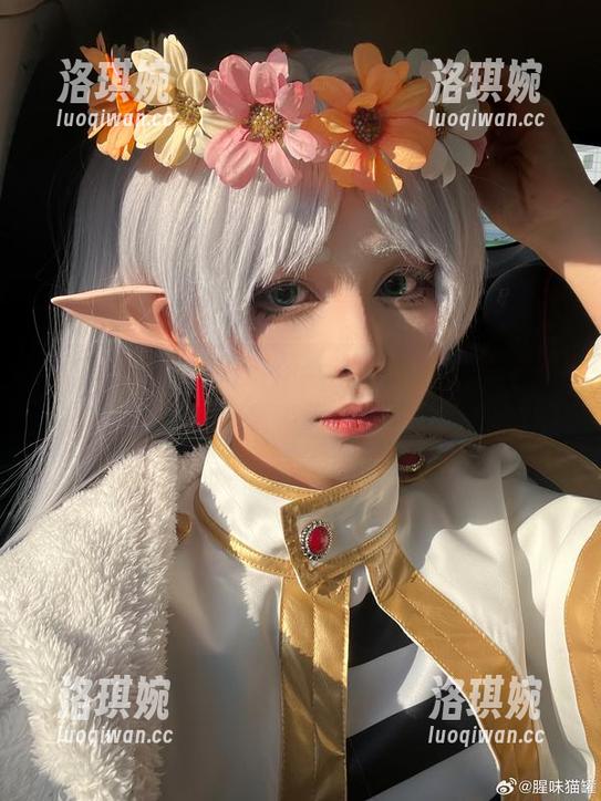 图集里的腥味猫罐：全套星穹铁道景元，谁在轨道上闪亮？